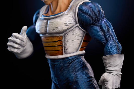 Vegeta - Image 7