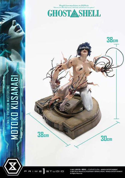 GHOST IN THE SHELL Kusanagi Motoko - Image 2