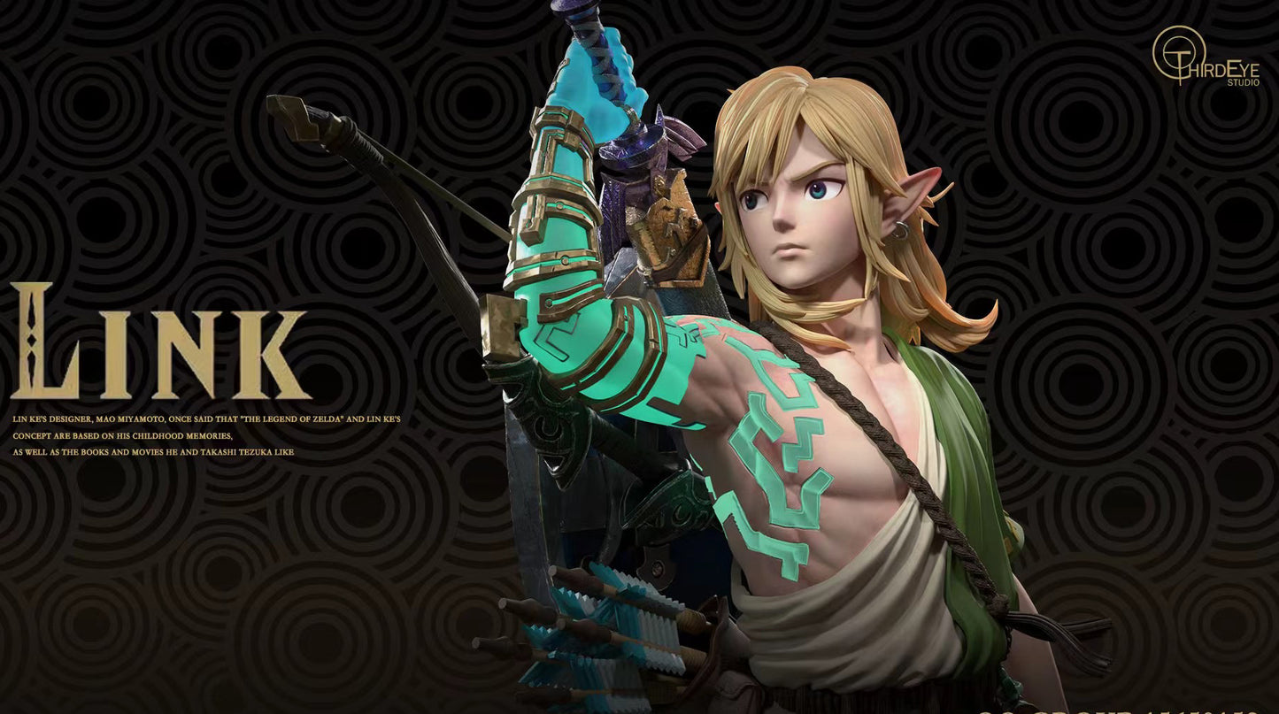 ThirdEye Studio - Link The Legend of Zelda Link | 塞尔达传说 林克