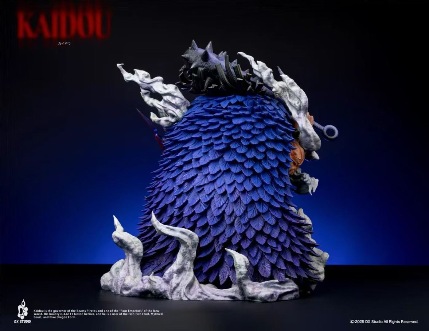 DX Studio - Kaido | 凯多