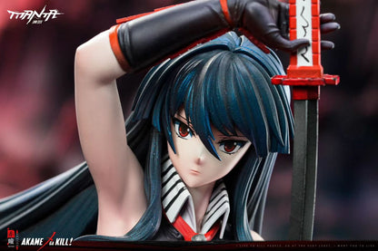 ManTa Studio - Licensed Akame ga Kill Akame | 版权 斩赤红之瞳 赤瞳 - Image 3