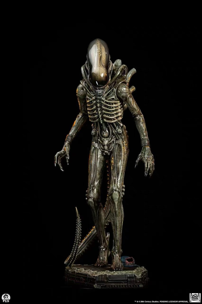 PCS Studio - Licensed Alien Big Chap | 版权 异形 Big Chap - Image 4