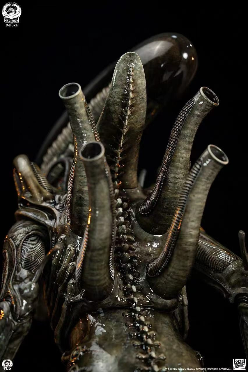 PCS Studio - Licensed Alien Big Chap | 版权 异形 Big Chap - Image 8