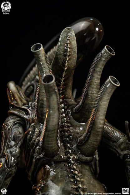 PCS Studio - Licensed Alien Big Chap | 版权 异形 Big Chap - Image 8