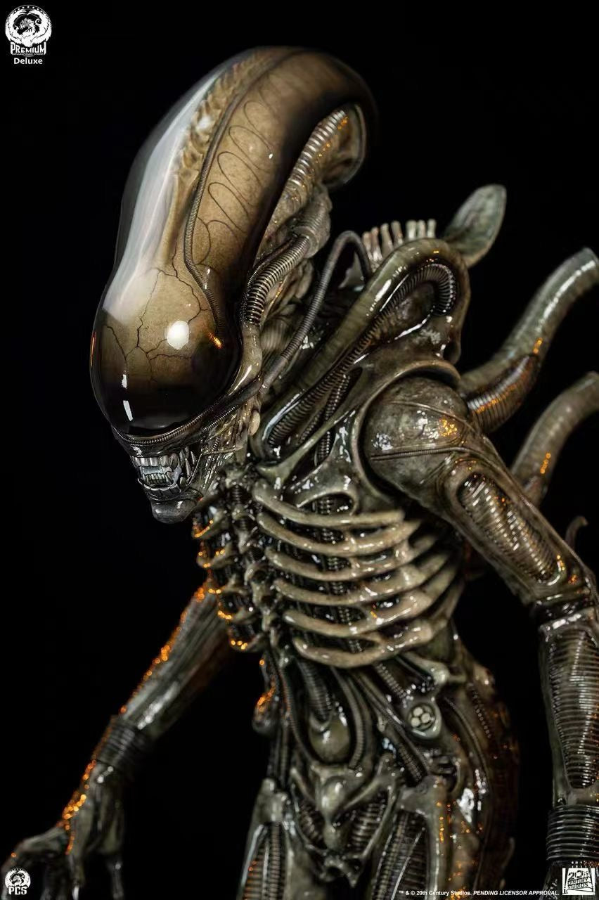 PCS Studio - Licensed Alien Big Chap | 版权 异形 Big Chap - Image 7