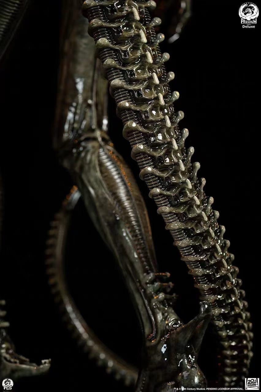 PCS Studio - Licensed Alien Big Chap | 版权 异形 Big Chap - Image 1