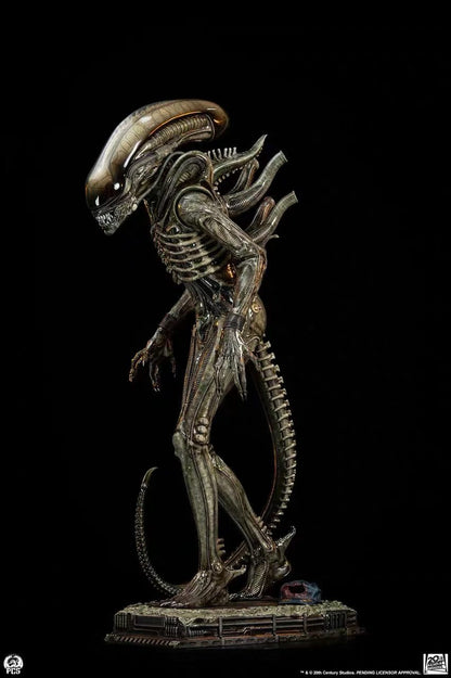 PCS Studio - Licensed Alien Big Chap | 版权 异形 Big Chap - Image 6