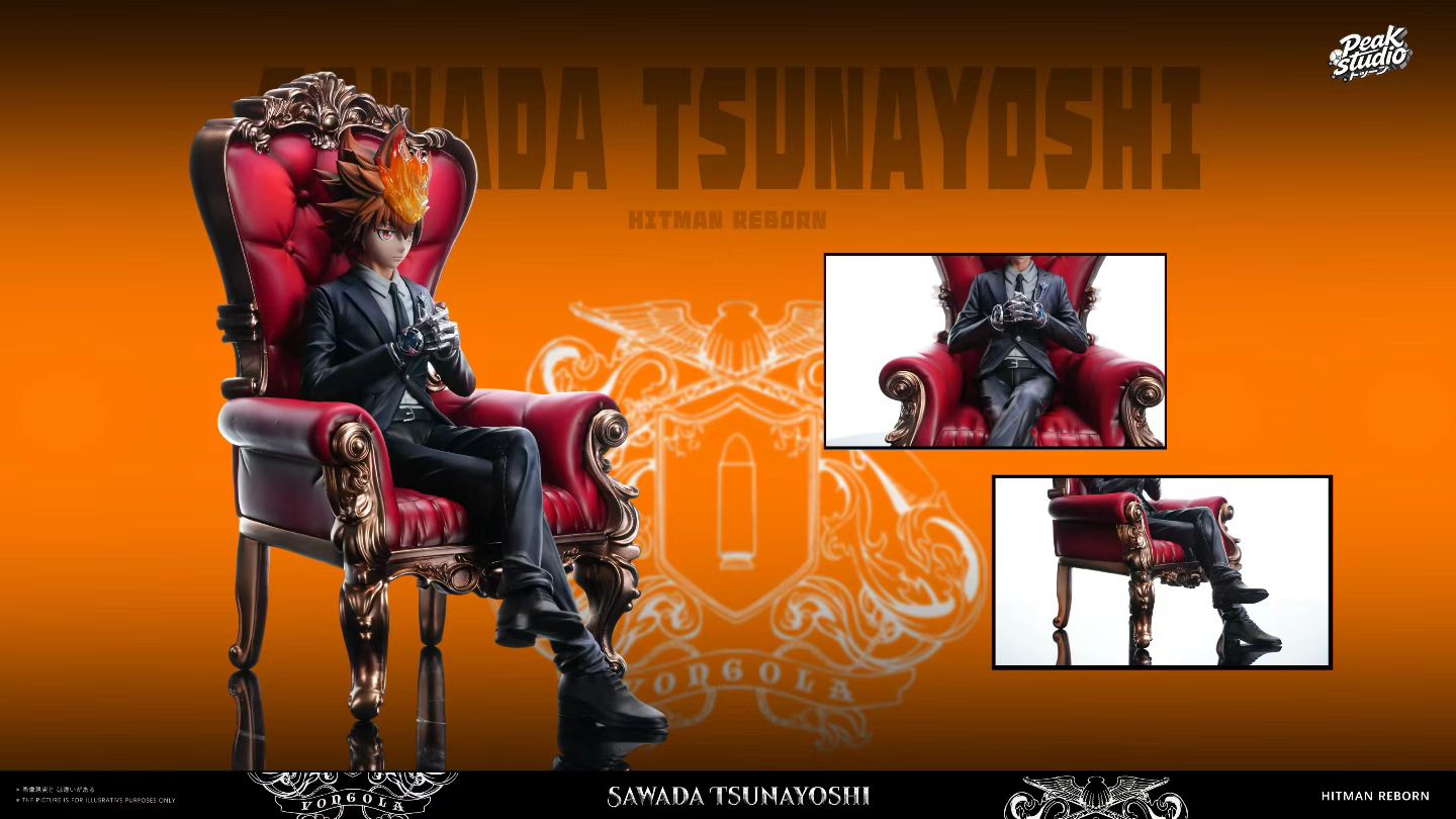 Peak Studio - Katekyo Hitman Reborn Sawada Tsunayoshi | 家庭教师 沢田纲吉 - Image 6