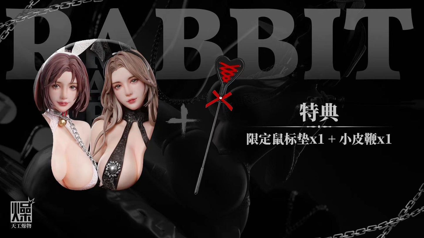 TIANGONZHAOWU Studio - Licensed Original Creation Twin Bunny Girls Zhang Min Bai Jie | 版权 原创系列 双人兔女郎 张敏 白洁 - Image 6