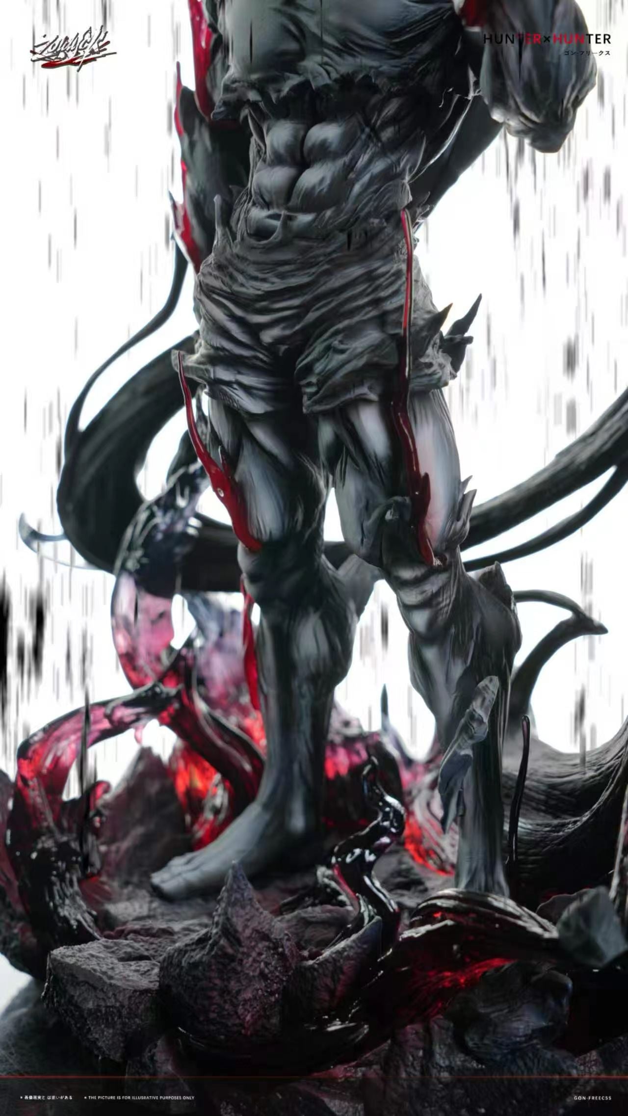 Zoldyck Studio - Hunter x Hunter Gon Freecss | 全职猎人 黑化小杰 - Image 7