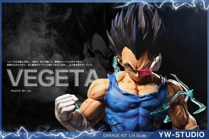 YW Studio - Vegeta | 贝吉塔